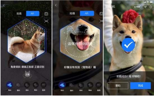 宠物识别.png